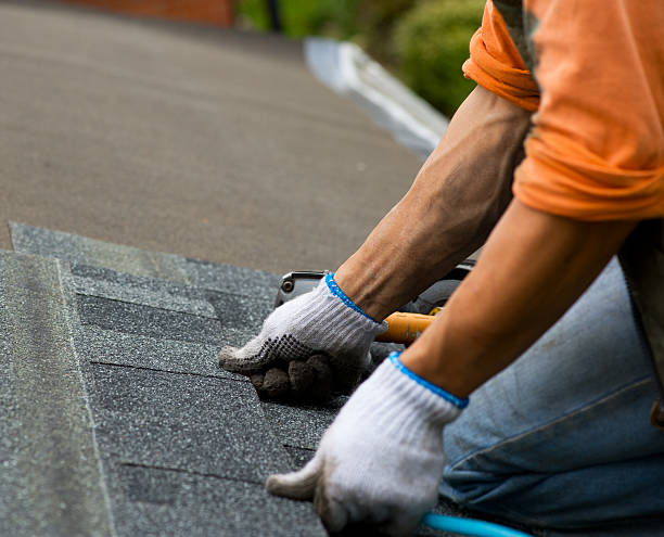 Best Roof Gutter Cleaning  in Monte Sereno, CA